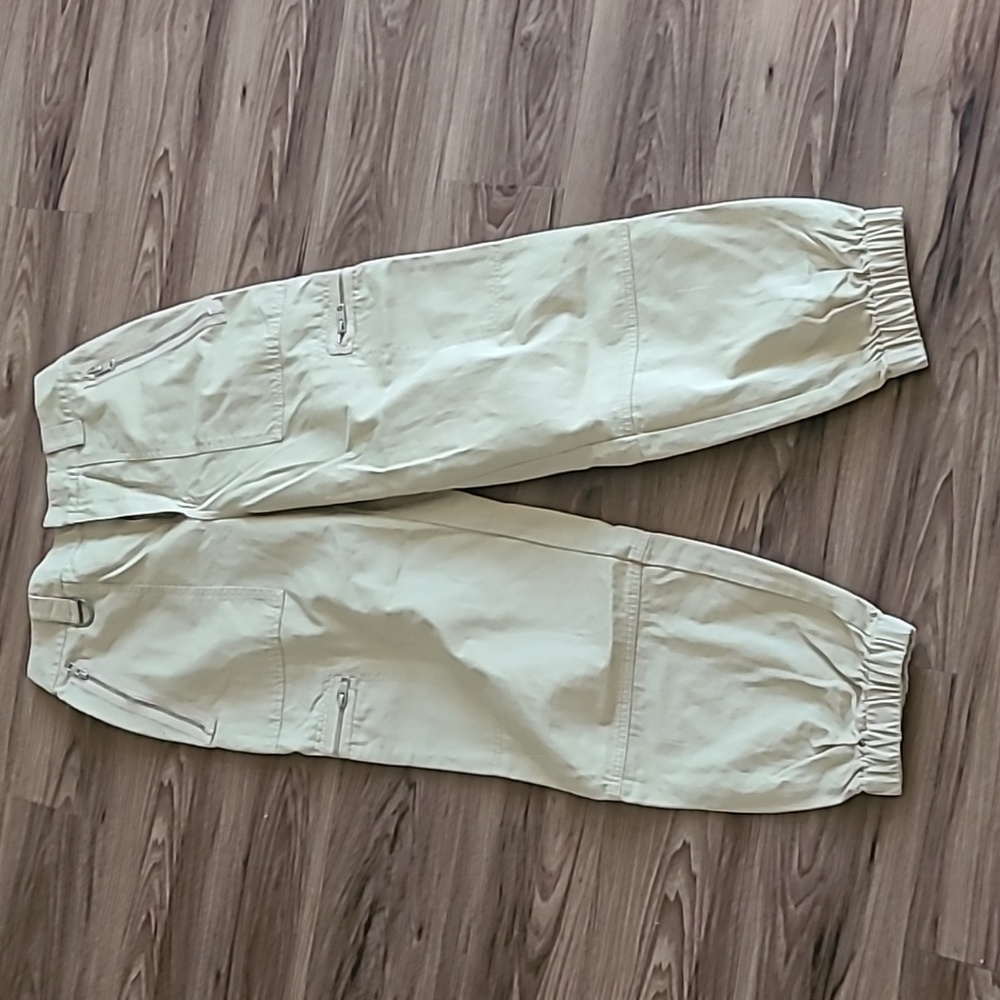 Aritzia TNA Cargo Jogger